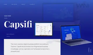 Preview of the Capsifi Case Study