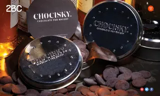 Preview of the Chocisky Case Study