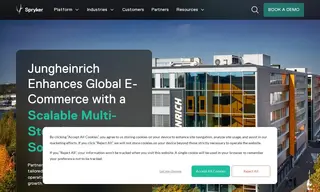 Preview of the Jungheinrich AG Case Study
