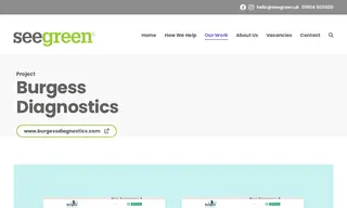 Preview of the Burgess Diagnostics Case Study
