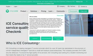 Preview of the Ice Consulting Case Study