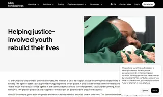 Preview of the Ohio Department of Youth Services (Ohio DYS) Case Study