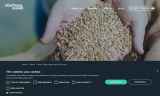 Preview of the Briar Chemicals Case Study