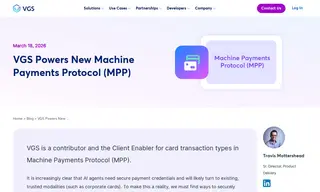Preview of the Visa Case Study