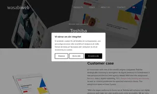 Preview of the Toshiba Case Study