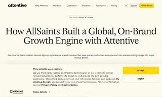 Preview of the AllSaints Case Study