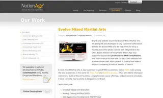 Preview of the Evolve Mixed Martial Arts Case Study