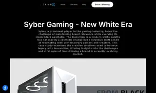 Preview of the Syber Case Study