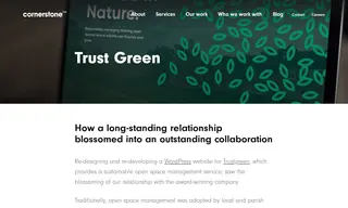 Preview of the Trustgreen Case Study