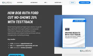 Preview of the Bob Ruth Ford Case Study