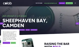 Preview of the The Sheephaven Bay Case Study