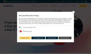 Preview of the Werksta Group Case Study