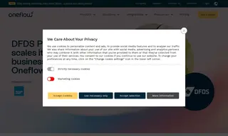Preview of the DFDS Professionals AB Case Study