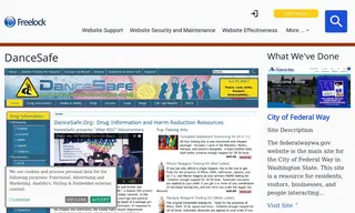 Preview of the DanceSafe Case Study