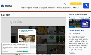 Preview of the Geocko Case Study