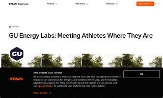 Preview of the GU Energy Labs Case Study