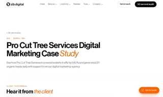 Preview of the Pro Cut Tree Services Case Study