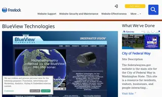 Preview of the BlueView Technologies Case Study