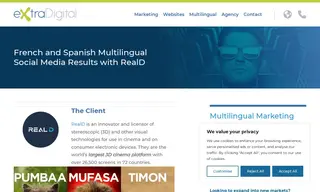 Preview of the RealD Case Study