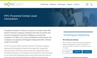 Preview of the Global Enterprise IT Software Company Case Study