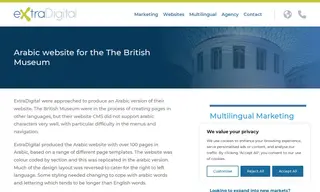 Preview of the The British Museum Case Study