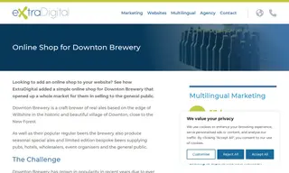 Preview of the Downton Brewery Case Study