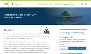 Preview of the Jon William Stables Case Study