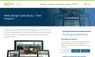 Preview of the CareFell Case Study