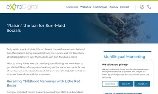 Preview of the Sun-Maid Case Study