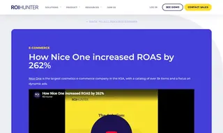 Preview of the Nice One Case Study