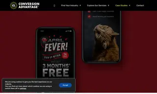 Preview of the Pet Insurance Australia Case Study