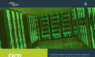 Preview of the Excel Case Study