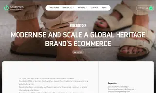 Preview of the Birkenstock Case Study