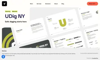 Preview of the UDig NY Case Study