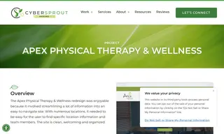 Preview of the Apex Physical Therapy & Wellness Case Study