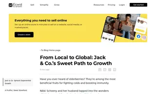 Preview of the Jack & Co Case Study