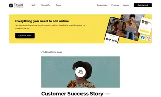 Preview of the KissedByABee.com Case Study
