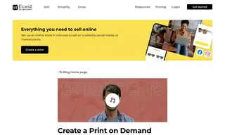 Preview of the Printful Case Study