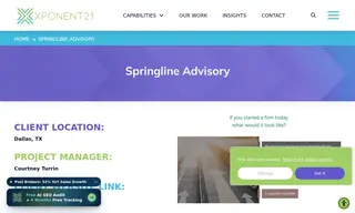 Preview of the Springline Advisory Case Study