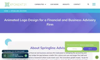 Preview of the Springline Advisory Case Study