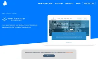 Preview of the Werba Rubin Papier (wrp) Case Study