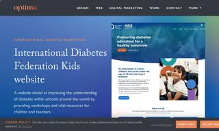 Preview of the International Diabetes Federation (idf) Case Study