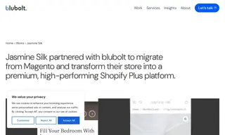 Preview of the Jasmine Silk Case Study