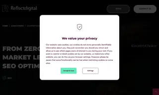 Preview of the Country Choice Case Study