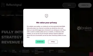 Preview of the Brakes Case Study
