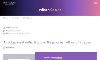 Preview of the Wilson Cables Case Study
