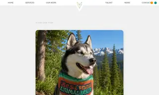 Preview of the Best Friends Animal Rescue Case Study