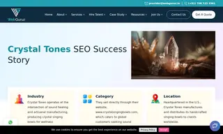 Preview of the Crystal Tones Case Study