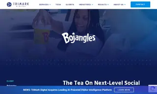 Preview of the Bojangles Case Study