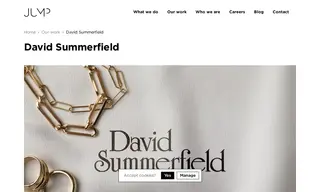 Preview of the David Summerfield Case Study